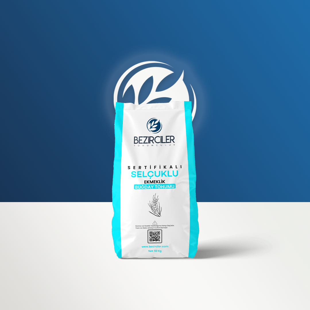 Selçuklu Ekmeklik Buğday Tohumu