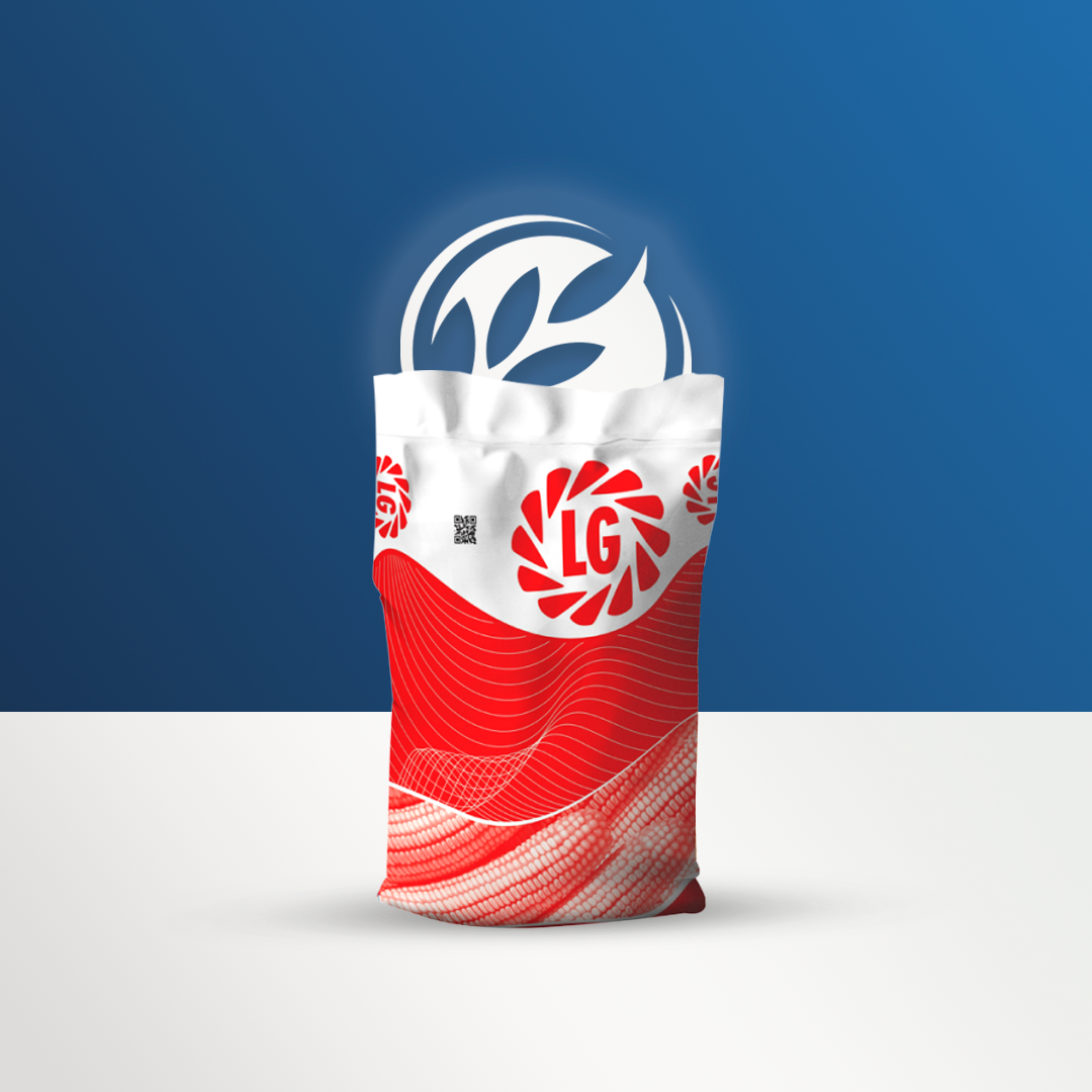 LG 31545 Mısır Tohumu